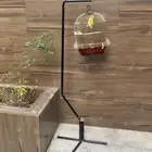 روز لاتينو مع قفص واستناد