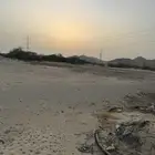 مزرعه ايجار