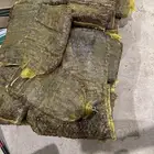 تمر