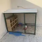 شبك طيور