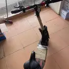 سكوتر للبيع