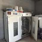 فقاسه او فقاسات