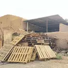 طبليات