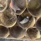 قطايف