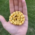 تم البيع
