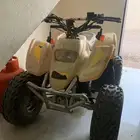 دباب سويدي