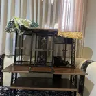 طاوله كبيره استخدام حشمه اسبوع بس طاوله كبير وأربع صغار