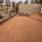 وز عراقي صغير