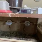 للبيع مشروع فقاسه كامل وجديد