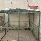 عشت حمام