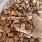 تمر خلاص جاهز للمصنع