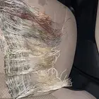 شبكت صيد الصقور