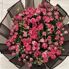 بوكيه باتشي وهدايا المدينه