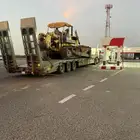 لوبد متواجد في جيزان