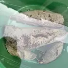 عسل بري مضمون ونضيف وسعره رخيص