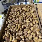 قسبة (بديره)