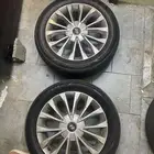 جنوط سوناتا