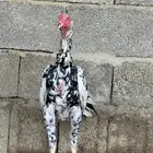 ديك سندي