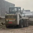 بوبكات للايجار المدينه