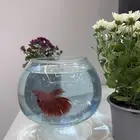 سمك الفايتر