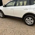 راف فور بدي وكالة