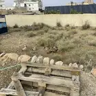 دجاج بلدي للبيع