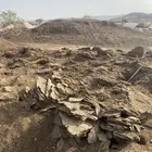 سماد نظيف