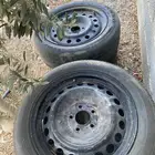 جنوط كدنزا. للبيع