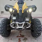 دباب كانام رينيجيد 1000 can-am renegade