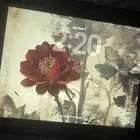 ايباد الجيل التاسع 64 جيجا