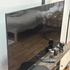 شاشة بلازما للبيع