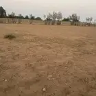 للبيع ارض زراعية شمال الشقيق 12090 متر