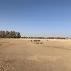للايجار مكان ل النياق ب المزرعه