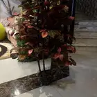 شجر صناعي