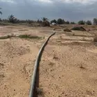 جنوب المذنب