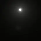 مطعم للتقبيل
