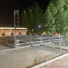 مهر ورق يحتاج تبليغ