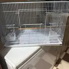 للبيع قفص طيور حجم كبير نظيف جديد استخدام يومين