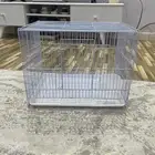 شبك طيور التواصل واتساب