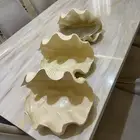 صواني مناسبات صدف