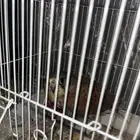 شبوت للبيع ع السوم