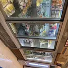 محل طيور مقطع للبيع