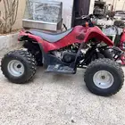 دباب سويدي 110