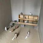 حمام مشكل للبيع