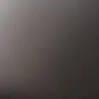 مطلوب ارنب للبيع في بيشه