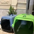 بوكس للقطط كبير وصغير