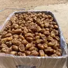 تمر خلاص فله فاخر