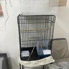 اقفاص كبيره للبيع