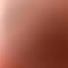 أرنب للتبني