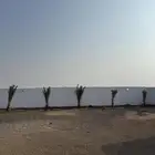 بيت شعبي للبيع استراحة قرية مستورة محافظة رابغ